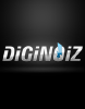 Diginoiz.com logo