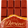 Divinechocolate.com logo