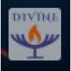 Divineinformation.com logo