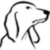 Dogdrip.com logo