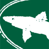 Dogfish.com logo