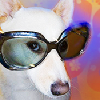 Doggies.com logo