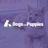 Dogsandpuppies.co.uk logo