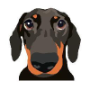 Dogshaming.com logo
