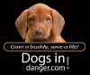 Dogsindanger.com logo