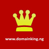 Domainking.ng logo