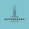 Domod.ru logo