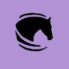 Dreamhorse.com logo