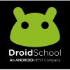 Droidschool.com logo