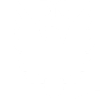 Dsstgo.cl logo