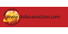 Dulieuvieclam.com logo