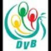 Dvb.no logo