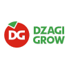 Dzagigrow.ru logo