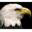 Eaglescout.org logo