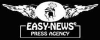 Easynewsweb.com logo