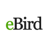 Ebird.org logo