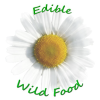 Ediblewildfood.com logo