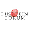 Einsteinforum.de logo