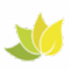 Elcaminodelamagia.com logo