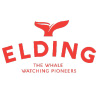 Elding.is logo