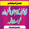 Electionpakistani.com logo
