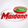Elmaidane.com logo