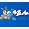Emule.com logo