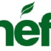 Enef.fr logo