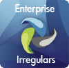 Enterpriseirregulars.com logo
