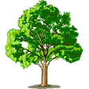 Newport Helicopter Tours