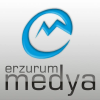 Erzurummedya.com logo