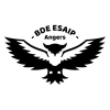 Esaip.org logo