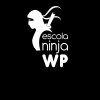 Escolaninjawp.com.br logo