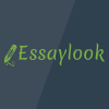 Essaylook.com logo