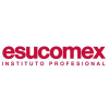 Esucomex.cl logo