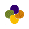 Ethnomed.org logo