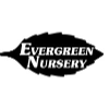 Evergreennursery.com logo