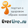 Everlive.ru logo