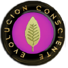Evolucionconsciente.org logo