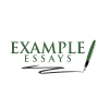 Exampleessays.com logo