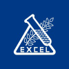 Excelind.co.in logo