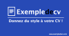 Exempledecv.com logo