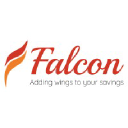 Falcon Wealth Solutions