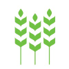 Farmafrica.org logo