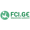 Fci.ge logo