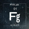 Feelguide.com logo