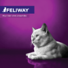 Feliway.com logo