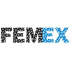 Femex.ir logo