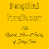 Fengshuipundit.com logo