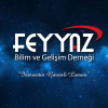 Feyyaz.org logo